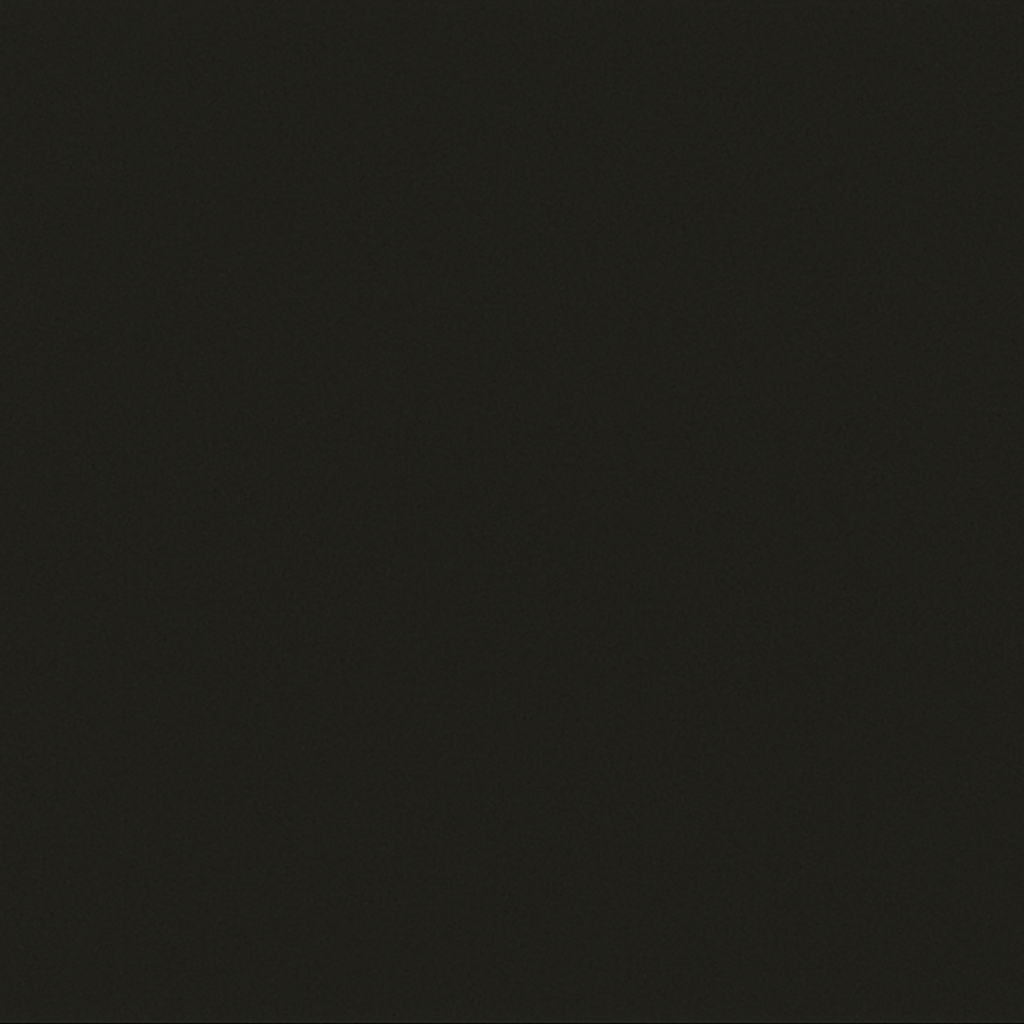 Solid black color swatch