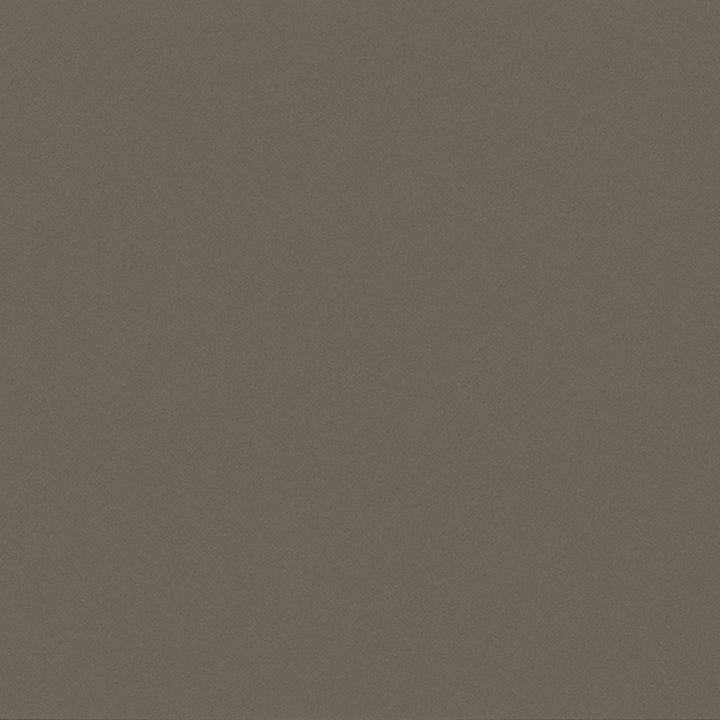Solid dark gray color swatch