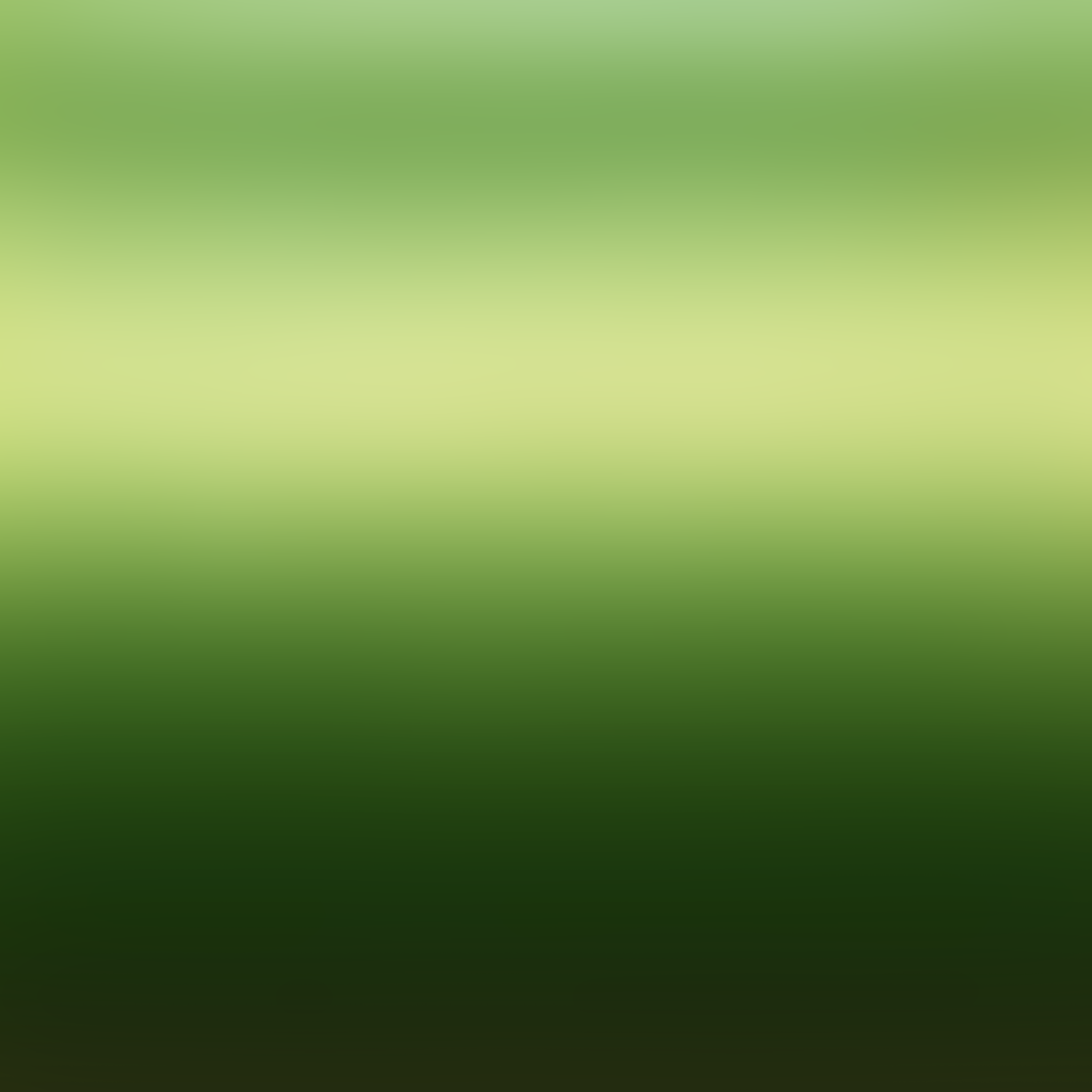 60" Northern Lights Protective Color Change Wrap