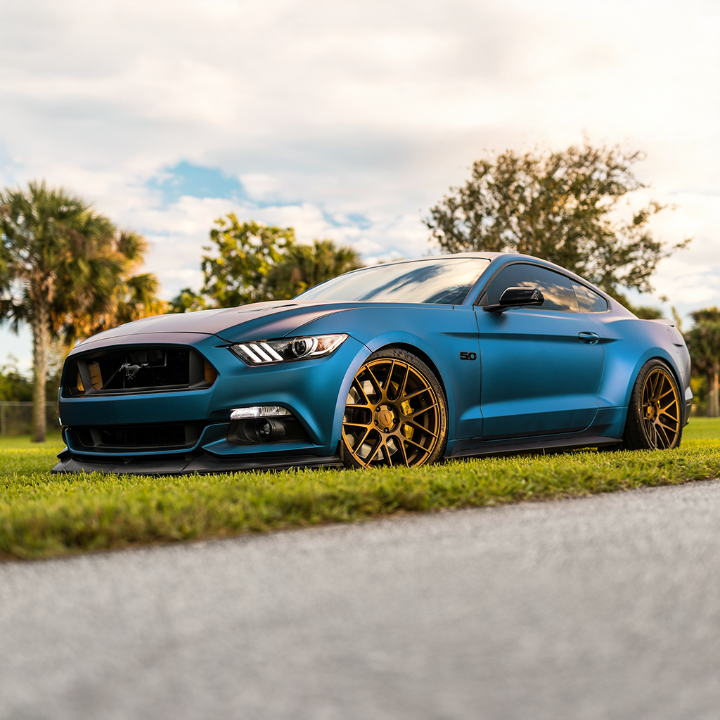 Blue Mustang car parked on a grassy area with trees in the background