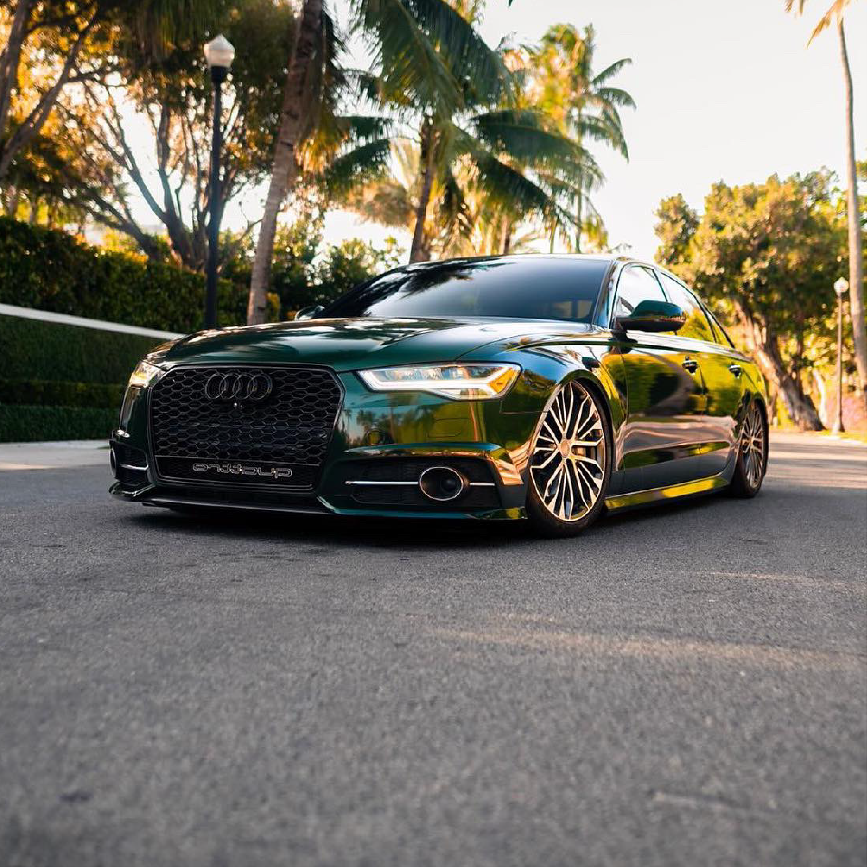 Green Audi car on a road with palm trees in the background