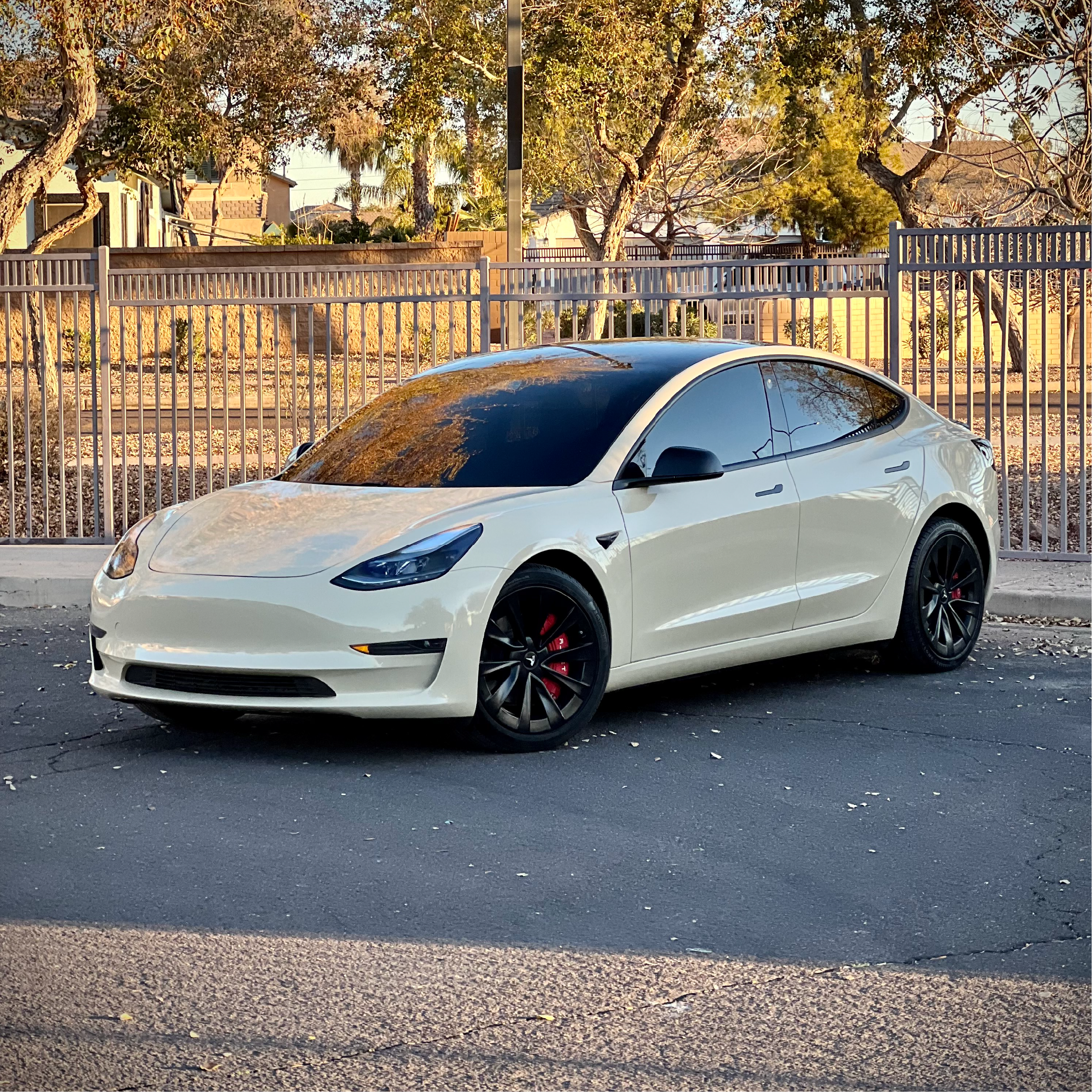 White Tesla Model 3 parked on a street with trees and a fence in the background