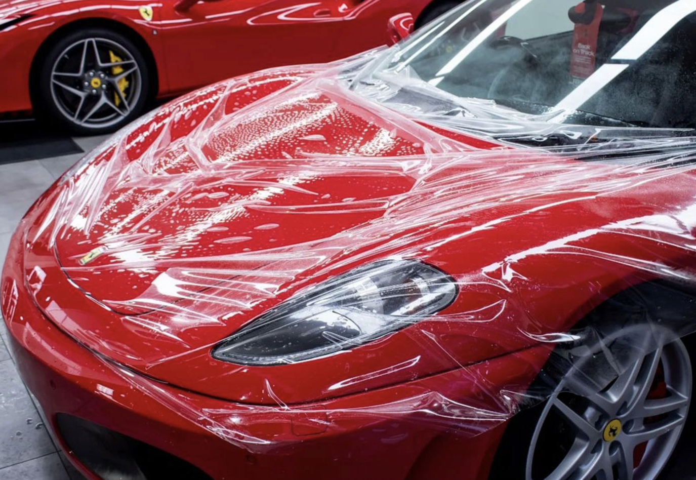 CheetahPPF Chip Defense Paint Protection Film applied to vehicle, showcasing clear, glossy finish that protects paint from chips, scratches, and road debris